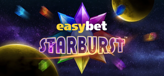 Easybet - Premier Online Betting Platform in South Africa